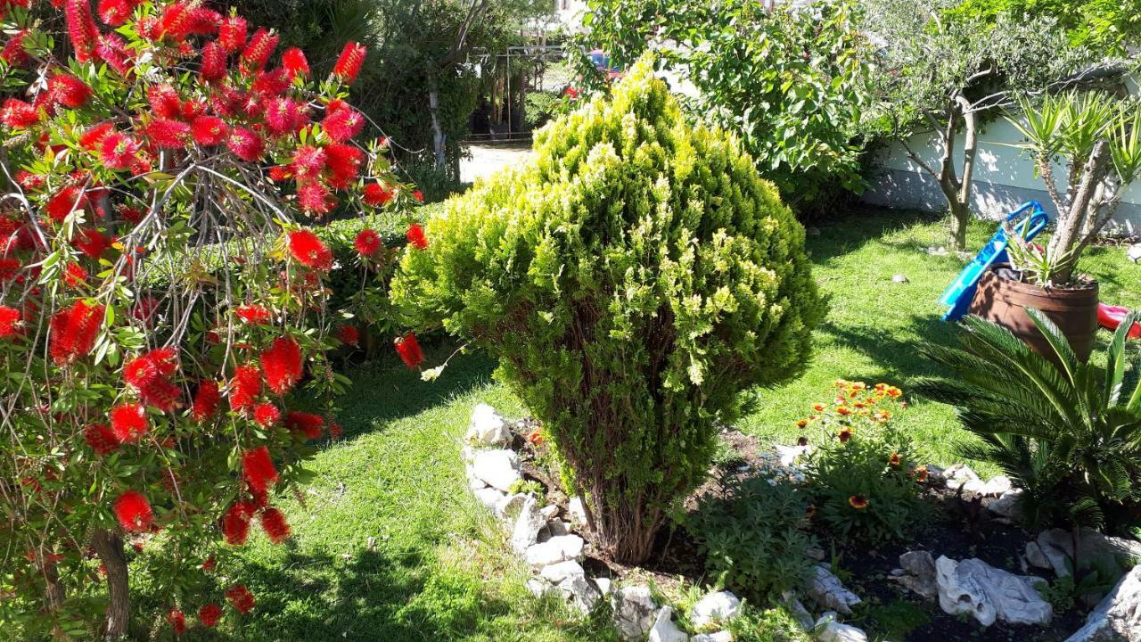 Home Padovan Palit Εξωτερικό φωτογραφία
